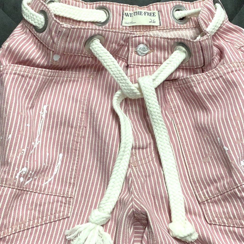 Free People pinstriped barrel pant